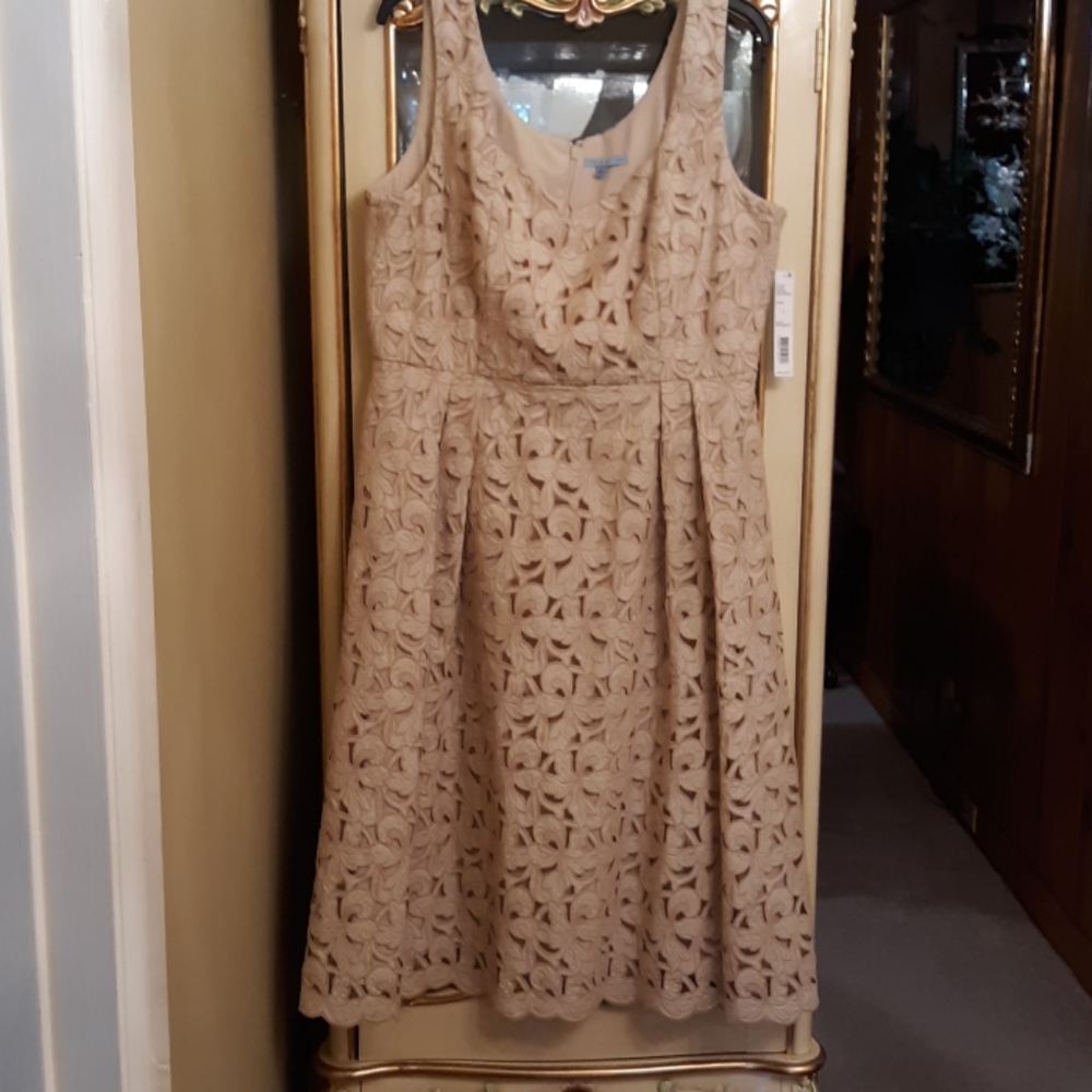 Almond in color lace dress